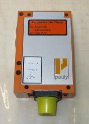 PS21G19 Reflektionslichtschranke PAULY 